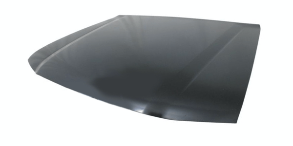 100-series-bonnet